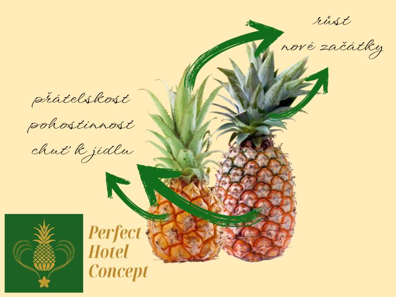Na žlutavém pozadí 2 anansy, od nich šipky - z dolní zemitě žluté části ananasu ke slovům pohostinnost, přátelskost, chuť k jídlu. Šipky nahoře od zelené "koruny" ke slovům růst, nové začátky. Vlevo dole je logo PHC zelený čtverec se zlatým ananasem a zlatý nápis Perfect Hotel Concept.